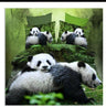 Printed and dyed 3D bedding - Shopway