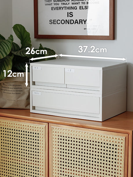 Drawer Type Desktop Double Compartment Storage Box Shopway.