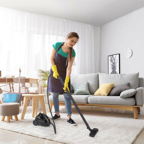 American Standard VSC28A Steam Cleaner 110V 1500W Shopway.