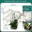 Phalaenopsis Potted Plant Finished Artificial Flower Tabletop Foyer Placement Shopway.