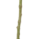 120CM ARTIFICIAL PACHIRA MACROCARPA Shopway.