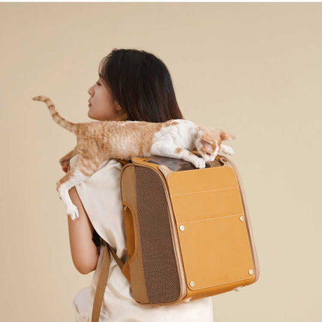 Outdoor Portable Cat Pet Backpack Large Capacity Breathable Shopway.