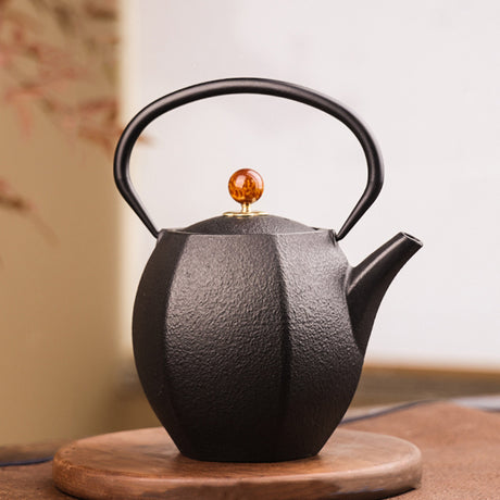 Cast Iron Teapot Bright Enamel Inner Wall Kettle Shopway.