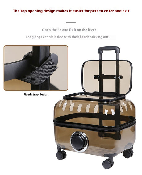 Cat Bag Portable Pet Trolley Bag Space Capsule Transparent Cat Luggage Shopway.