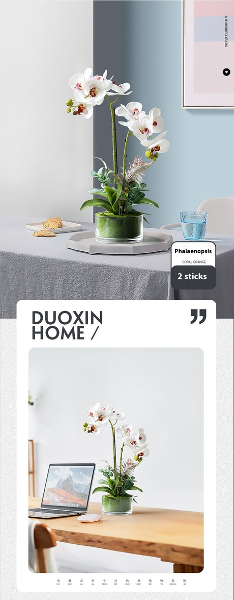 Phalaenopsis Potted Plant Finished Artificial Flower Tabletop Foyer Placement Shopway.