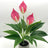 Simulation Green Plant Potted Artificial Flowers Shopway.