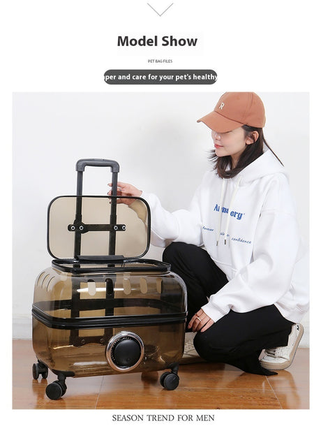 Cat Bag Portable Pet Trolley Bag Space Capsule Transparent Cat Luggage Shopway.