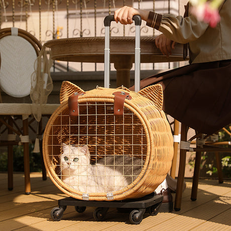 Portable PET Trolley Woven Luggage Shopway.