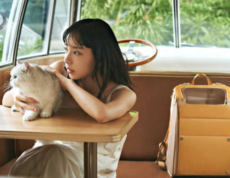 Outdoor Portable Cat Pet Backpack Large Capacity Breathable Shopway.