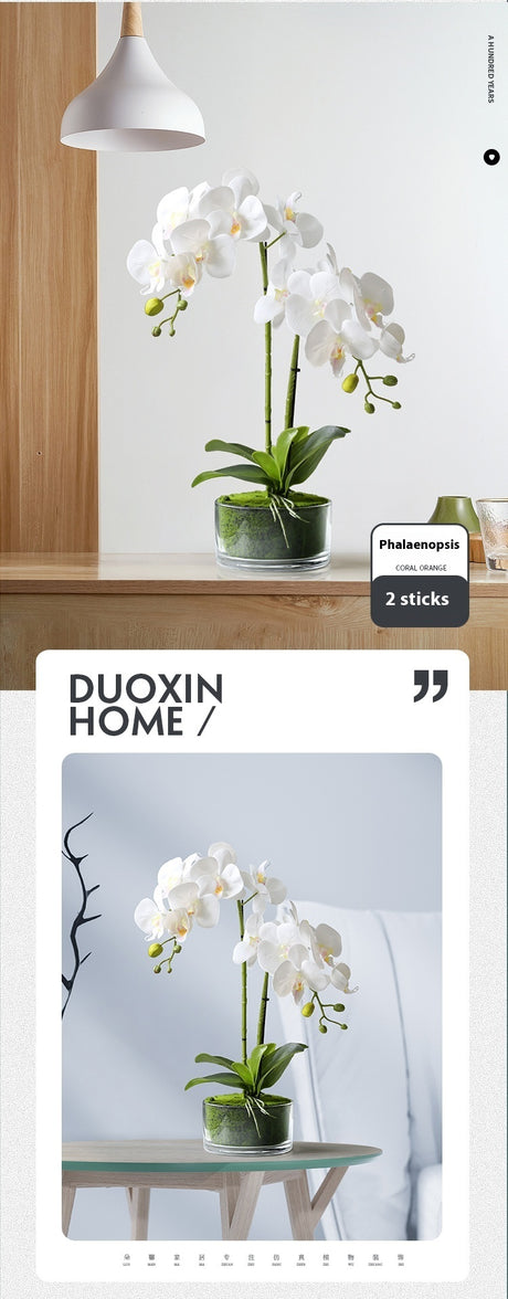Phalaenopsis Potted Plant Finished Artificial Flower Tabletop Foyer Placement Shopway.