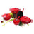 High-end Red Cast Iron Enamel Cooking Combination Five-piece Cookware Suit Shopway.