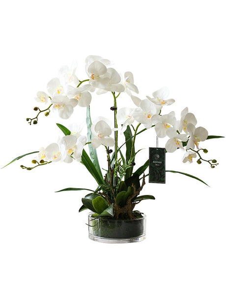 Phalaenopsis Potted Plant Finished Artificial Flower Tabletop Foyer Placement Shopway.