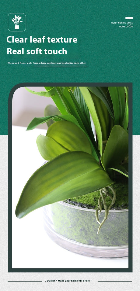 Phalaenopsis Potted Plant Finished Artificial Flower Tabletop Foyer Placement Shopway.