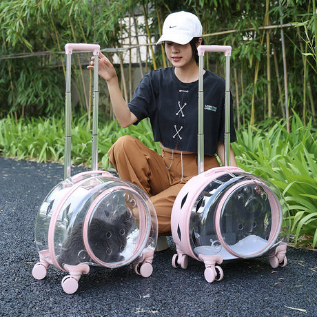 Portable And Breathable Space Cabin Pet Box Shopway.