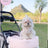 Pet Stroller Anti-dirty Towel Cushion Pillow Pure Cotton Three-piece Set For Cats And Dogs Removable And Washable Pad Shopway.